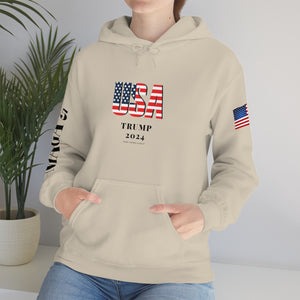 USA Trump 2024 Eagle Hoodie