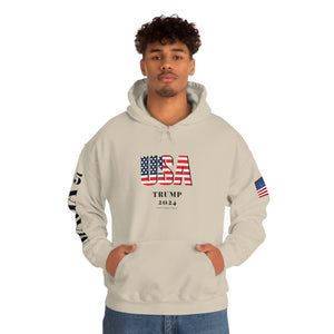 USA Trump 2024 Eagle Hoodie