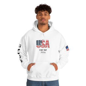 USA Trump 2024 Eagle Hoodie