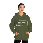 Trump 2024 Make America Great Hoodie