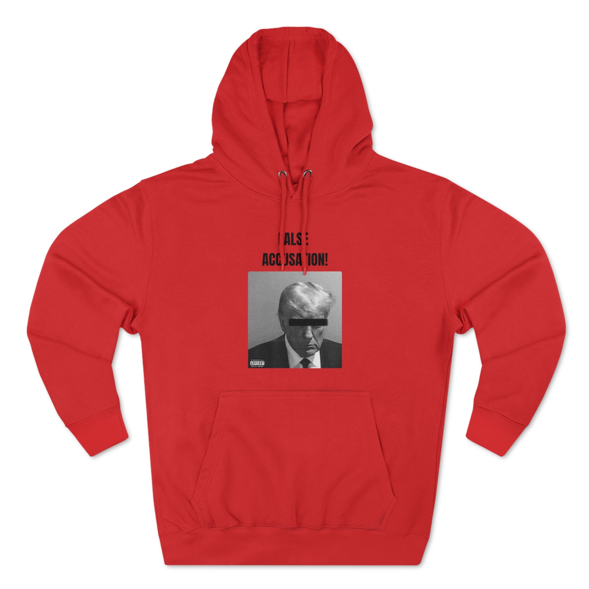 False Accusation! Hoodie