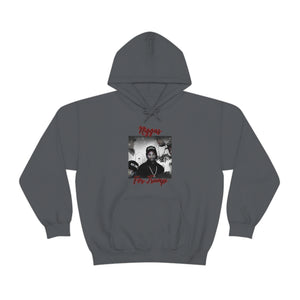 Niggas For Trump Hoodie